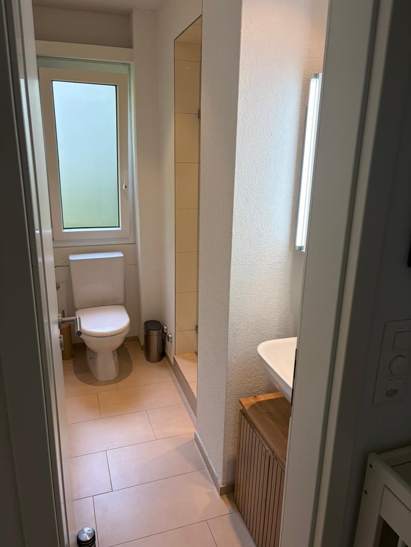 Notre petit appartement à Fluntern cherche quelqu'un pour l'appeler home en juillet et août (9)