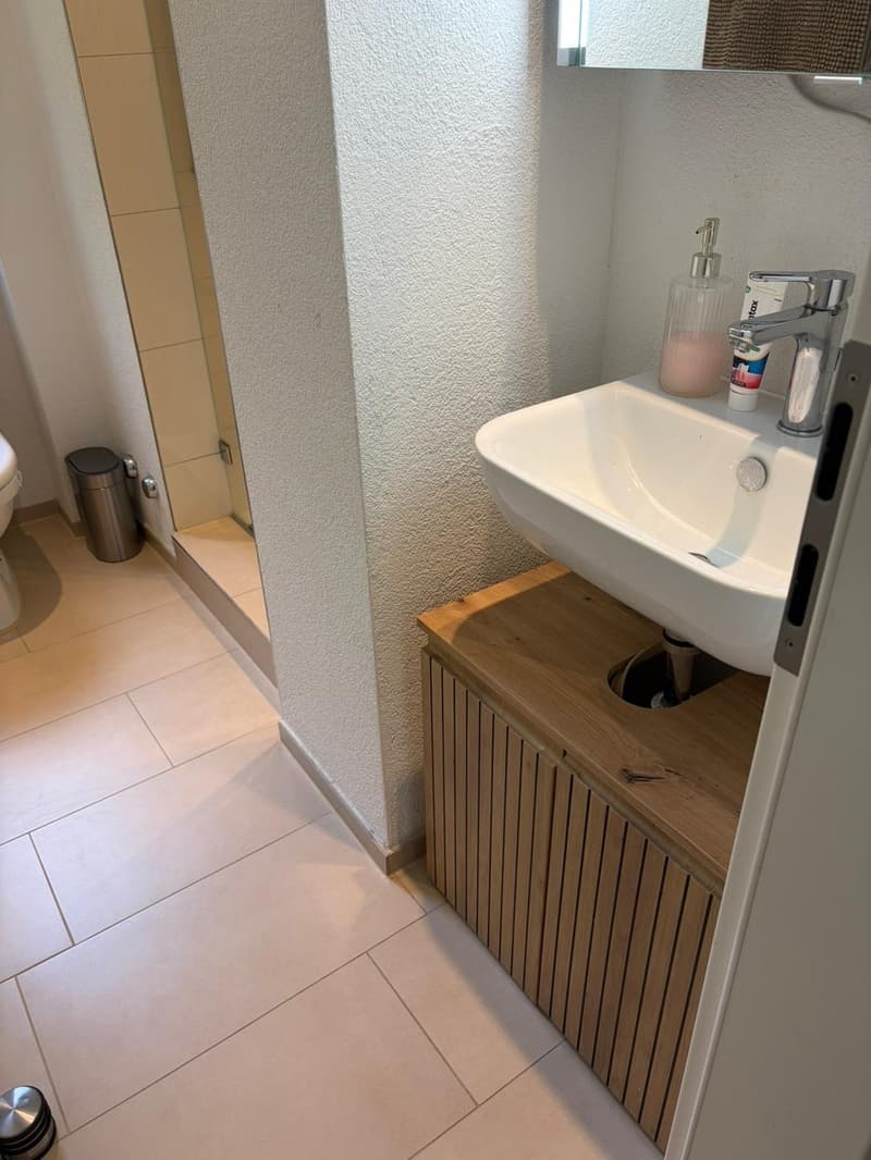 Notre petit appartement à Fluntern cherche quelqu'un pour l'appeler home en juillet et août (11)