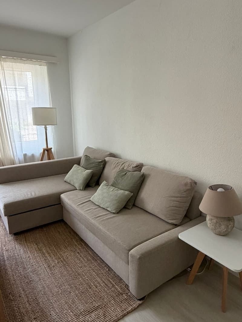 Notre petit appartement à Fluntern cherche quelqu'un pour l'appeler home en juillet et août (4)
