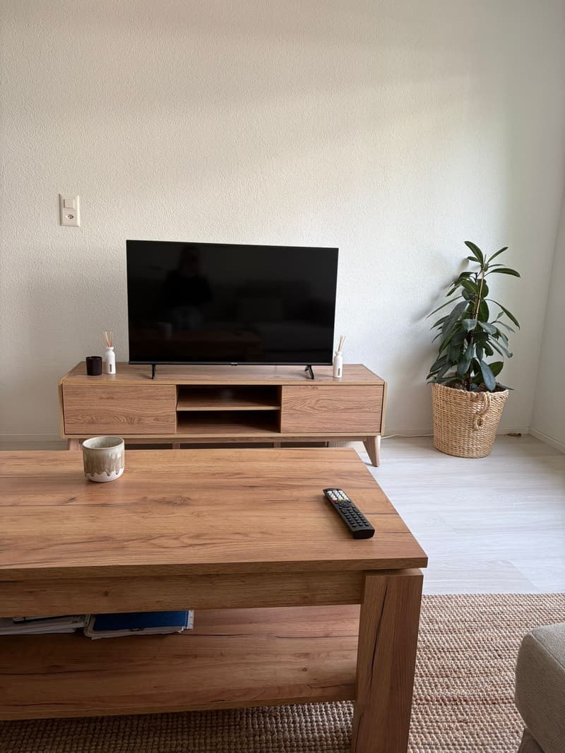 Notre petit appartement à Fluntern cherche quelqu'un pour l'appeler home en juillet et août (3)
