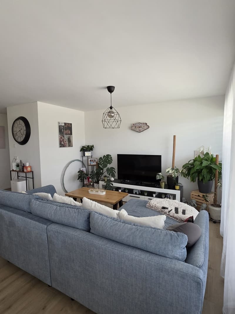 3.5-room apartment with two large balconies, Alpine panorama & modern comfort (3)