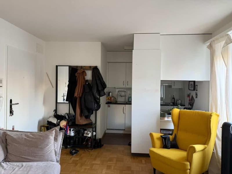 Sublet 2room Apartment at Stauffacher (3)