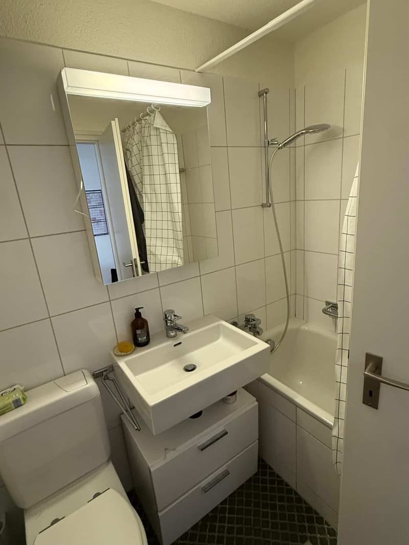 Sublet 2room Apartment at Stauffacher (5)