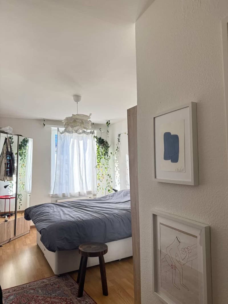 Sublet 2room Apartment at Stauffacher (6)