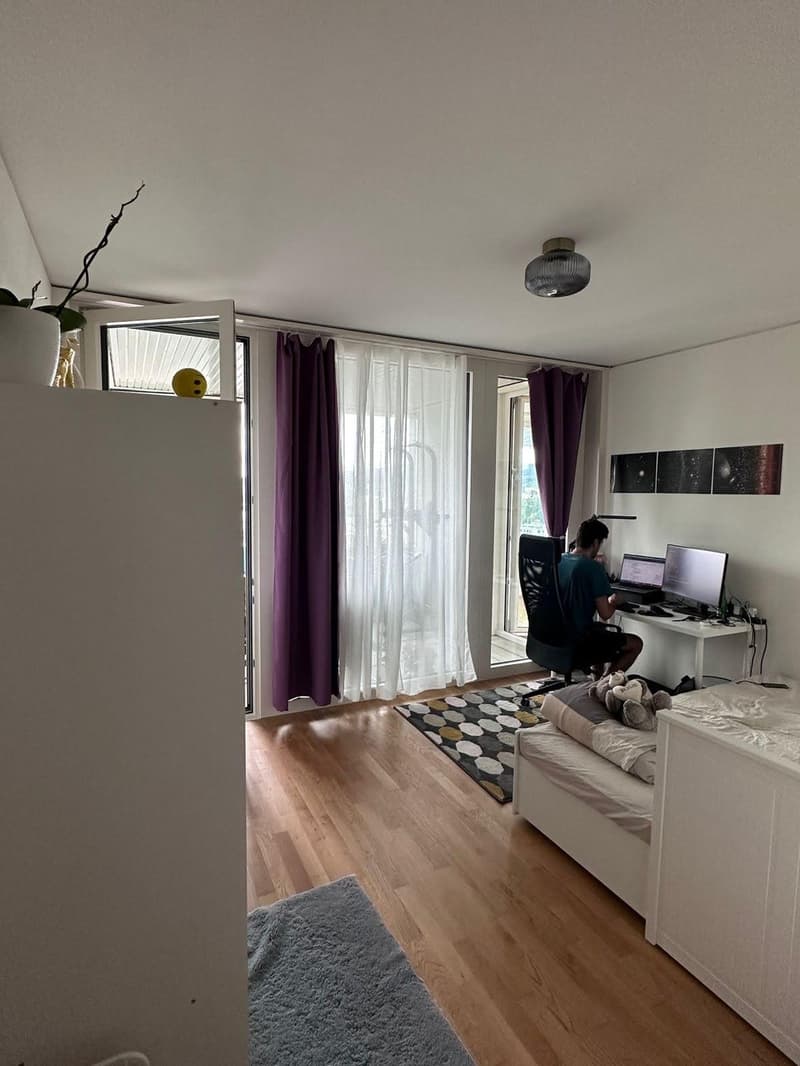 Sublet/Temporary Furnished 3.5 Room 16th Floor in Altstetten (1-3 months) (2)