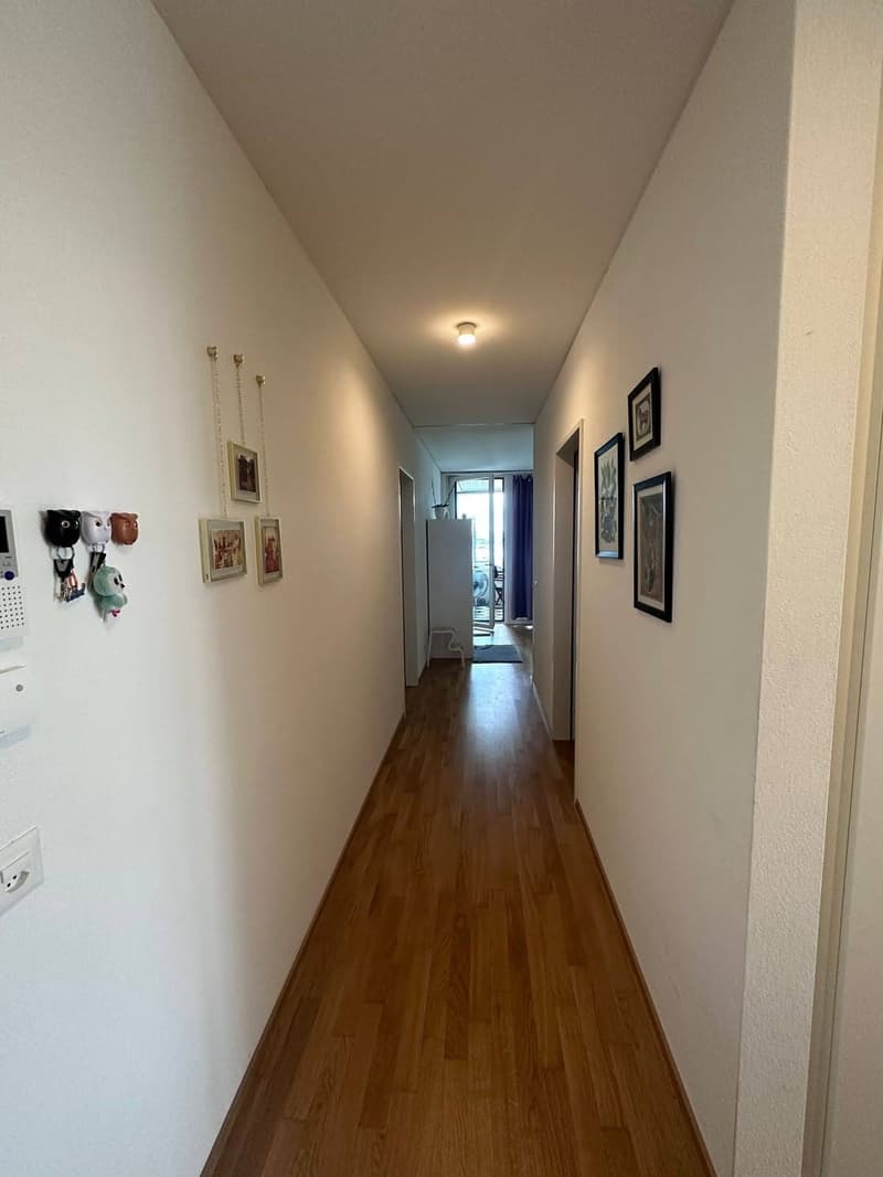 Sublet/Temporary Furnished 3.5 Room 16th Floor in Altstetten (1-3 months) (3)