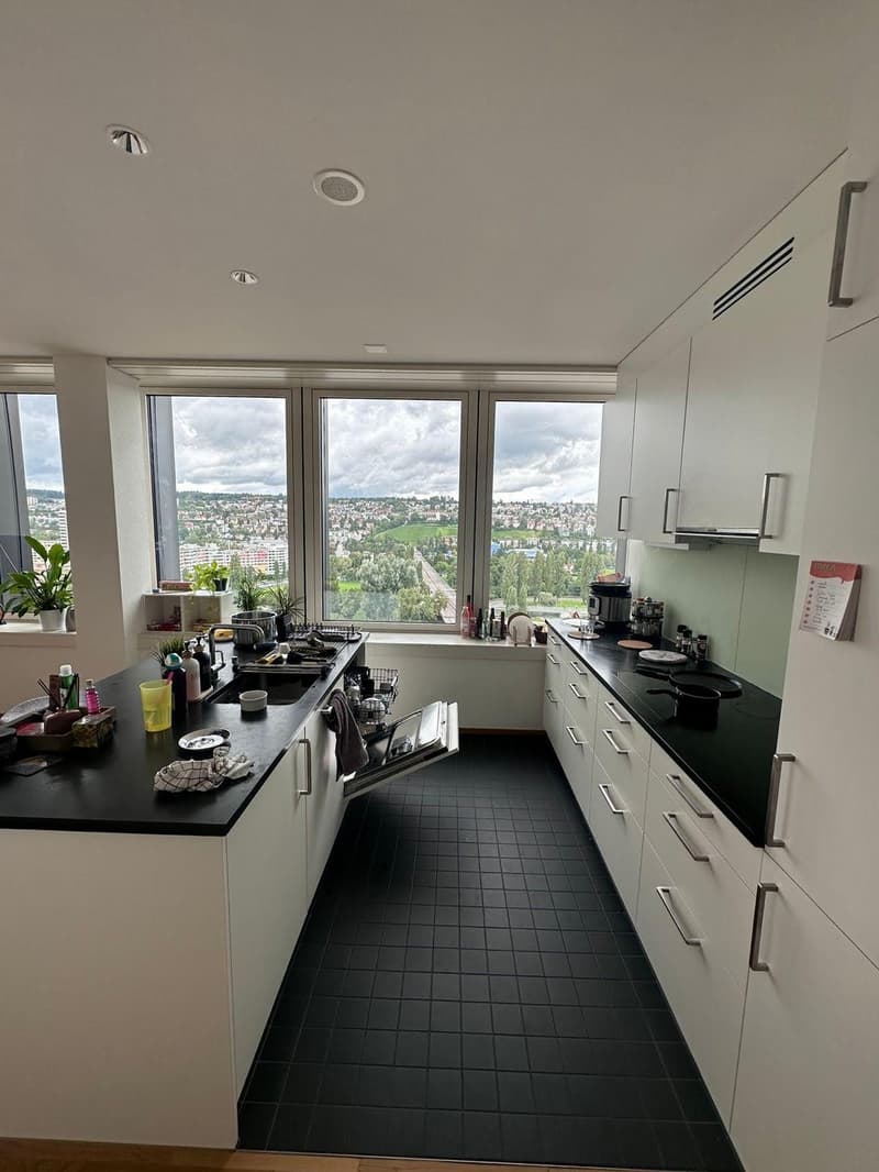 Sublet/Temporary Furnished 3.5 Room 16th Floor in Altstetten (1-3 months) (4)