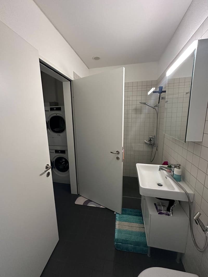 Sublet/Temporary Furnished 3.5 Room 16th Floor in Altstetten (1-3 months) (7)