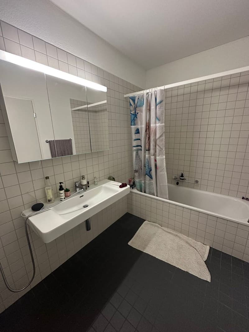 Sublet/Temporary Furnished 3.5 Room 16th Floor in Altstetten (1-3 months) (5)