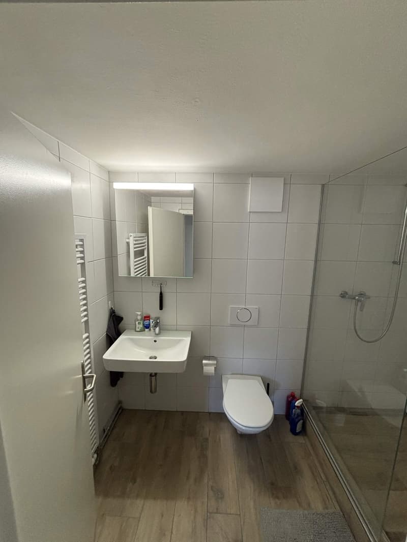 Mieten Sie eine 3 ½-Zimmer-Wohnung in Horgen (4)
