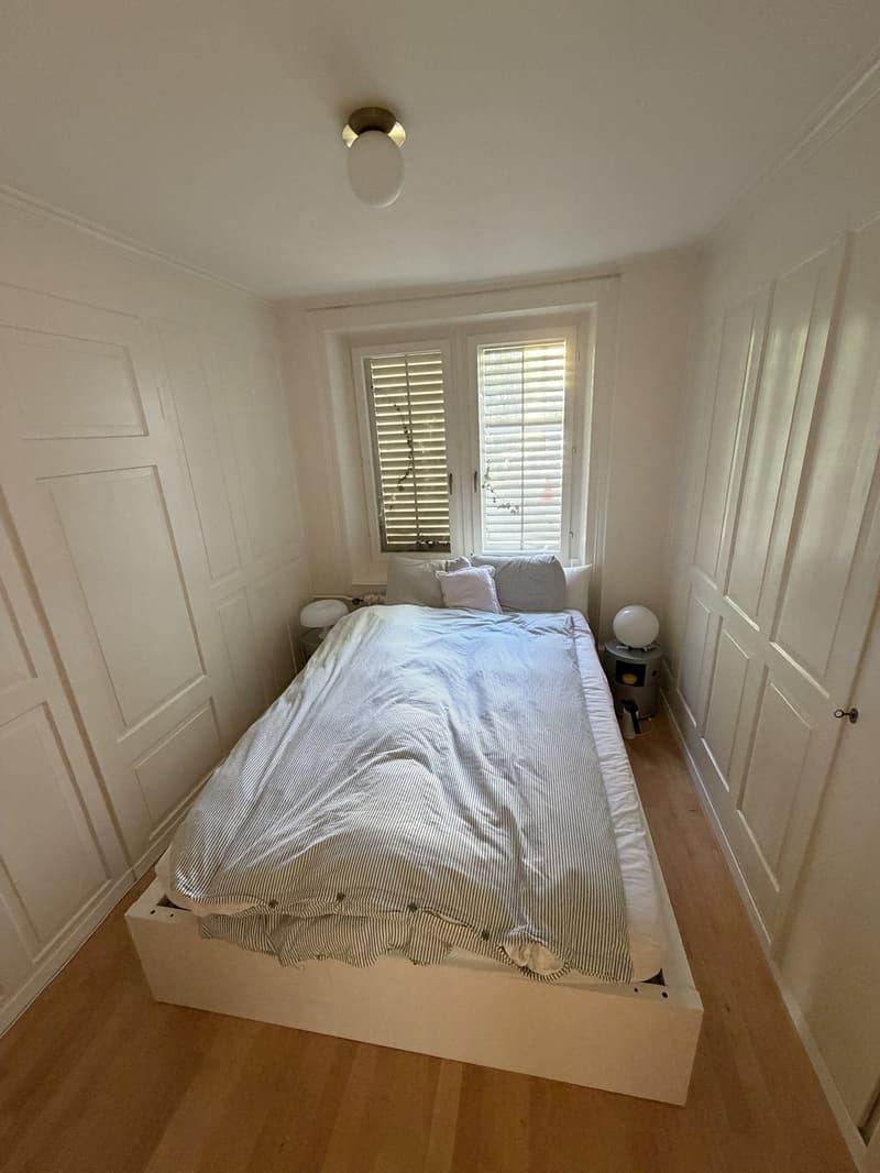 Furnished Apartment for Sublet in Zurich District 4 | July 2026 - January 2027 (2)