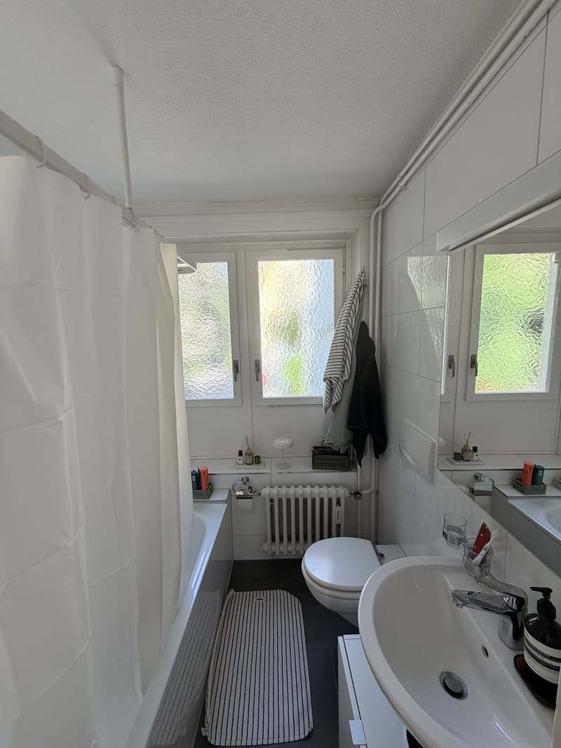 Furnished Apartment for Sublet in Zurich District 4 | July 2026 - January 2027 (3)