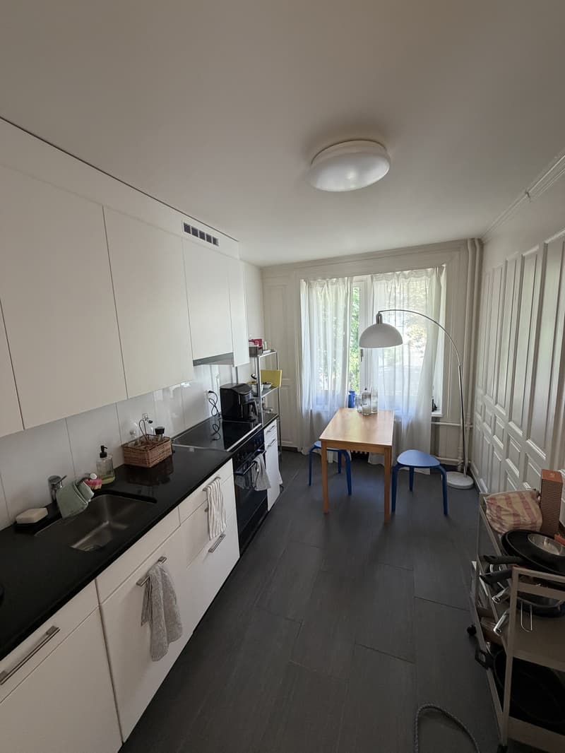 Furnished Apartment for Sublet in Zurich District 4 | July 2026 - January 2027 (4)
