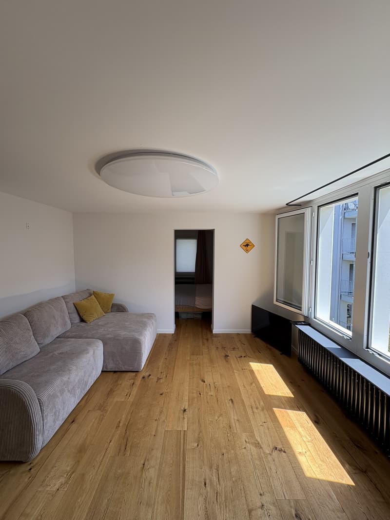 Modern furnished apartment  with cellar & attic storage (3)
