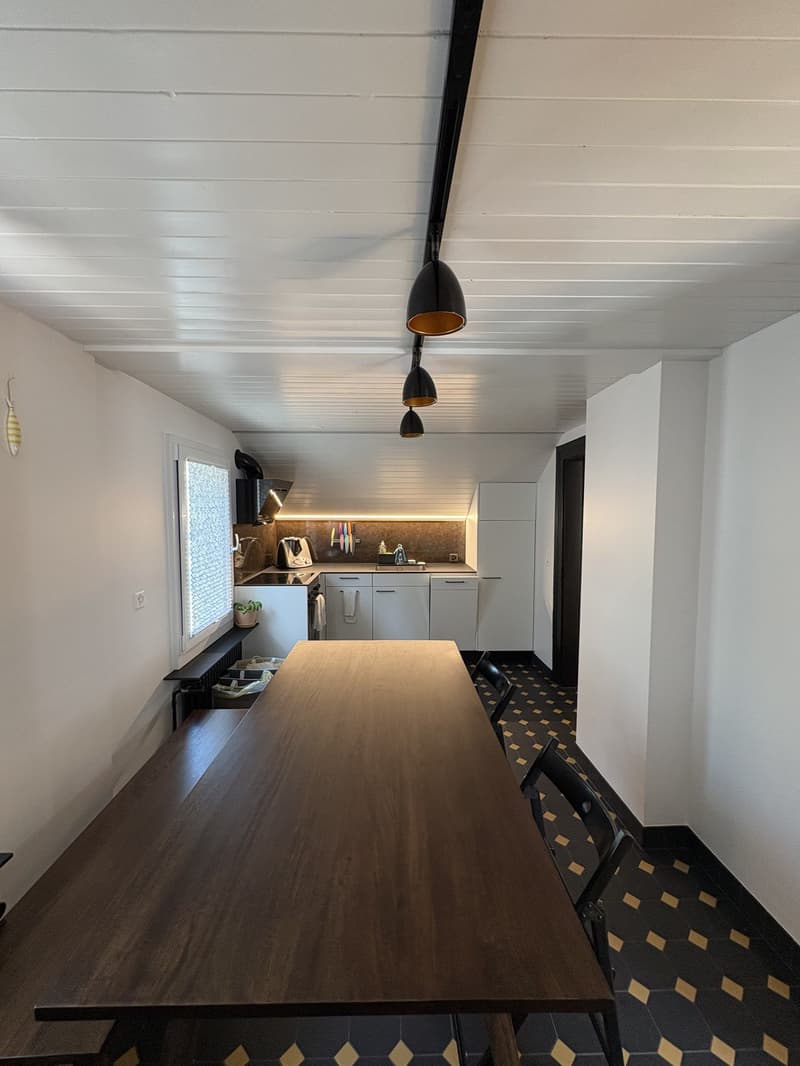 Modern furnished apartment  with cellar & attic storage (9)