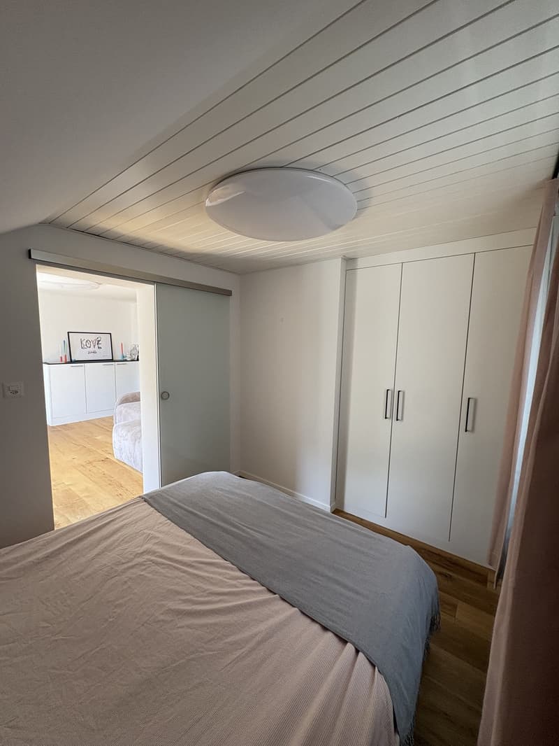Modern furnished apartment  with cellar & attic storage (5)