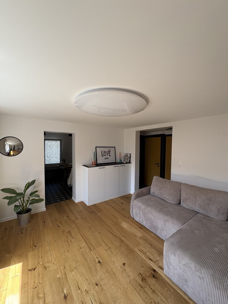 Modern furnished apartment  with cellar & attic storage (2)