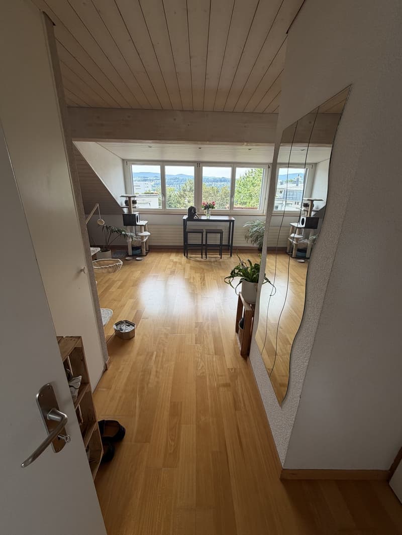 Appartement en mansarde lumineux avec vue sur le lac et situation calme à Meilen (2)