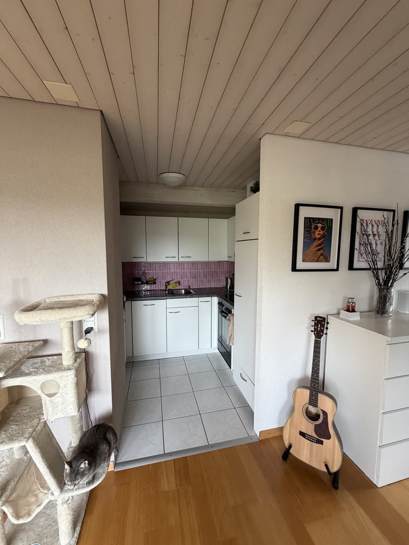 Appartement en mansarde lumineux avec vue sur le lac et situation calme à Meilen (5)