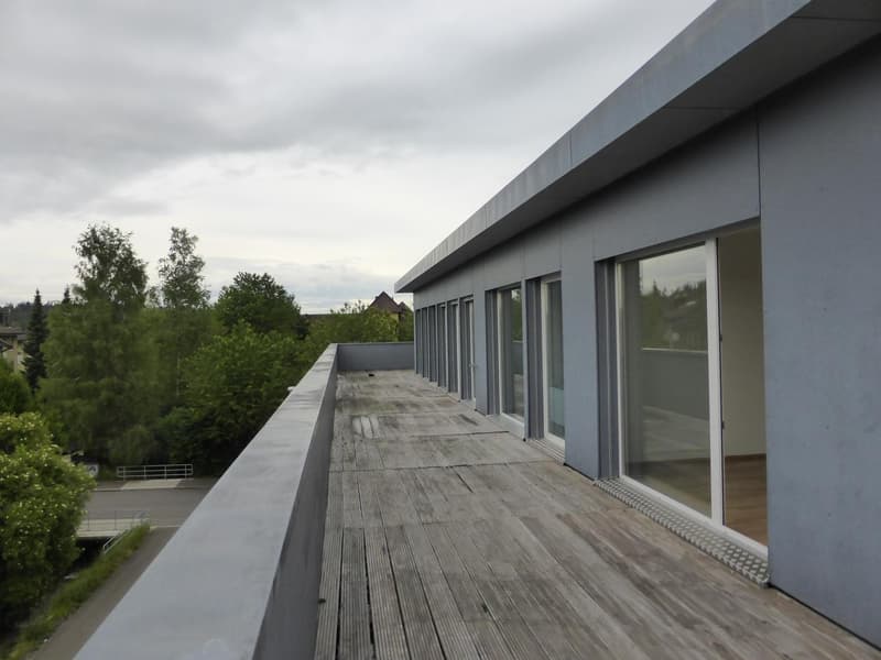 Appartamento in mansarda di 3,5 locali (100 m²) con balcone enorme e vista mozzafiato sulle Alpi a Bassersdorf (2)