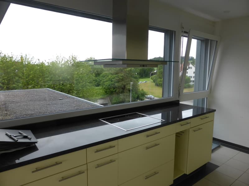 Appartamento in mansarda di 3,5 locali (100 m²) con balcone enorme e vista mozzafiato sulle Alpi a Bassersdorf (4)