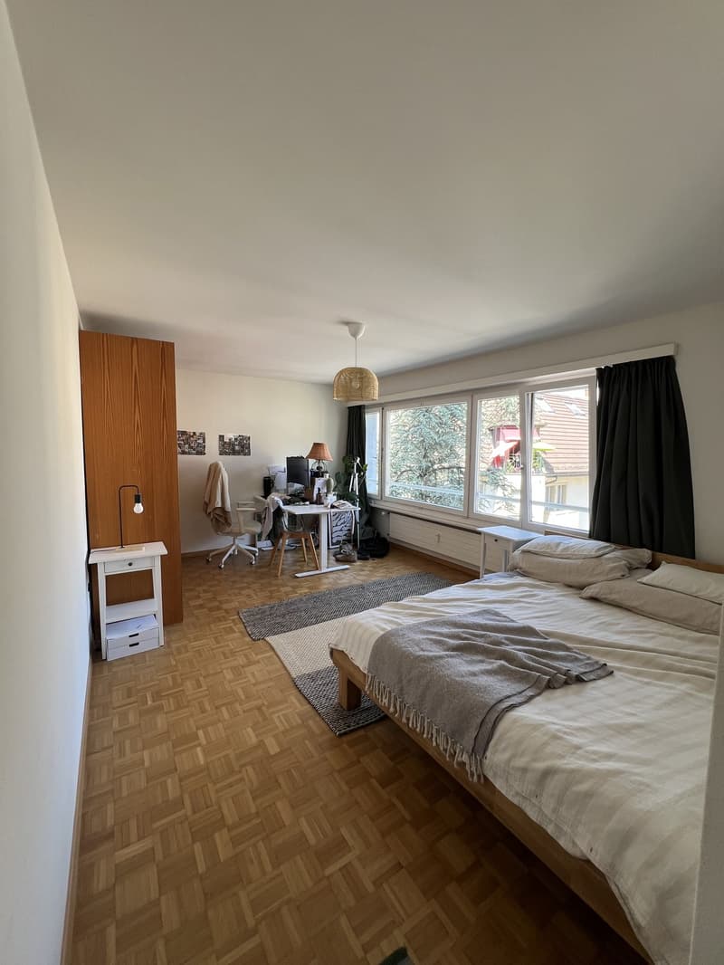 2 ½ locali appartamento, 6003 Lucerna (4)