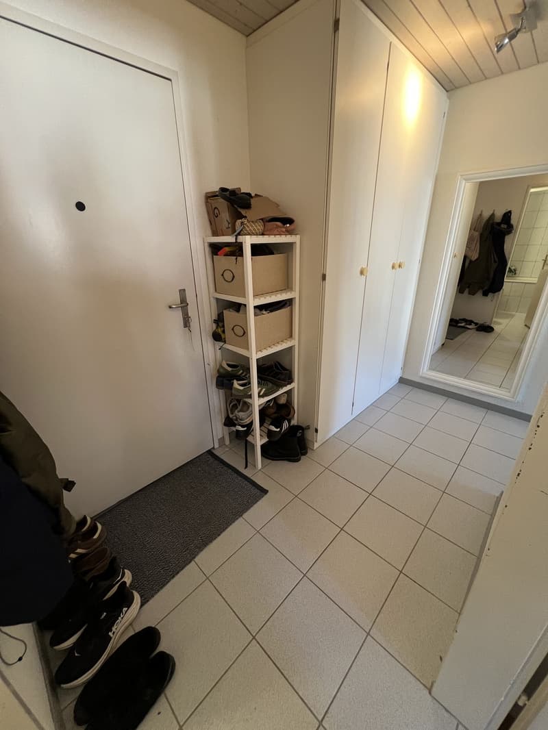 2 ½ locali appartamento, 6003 Lucerna (7)