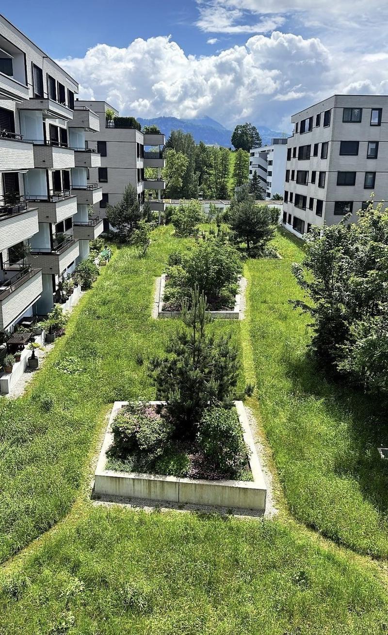 Entre la ville et la nature Appartement charmant en sous-location (3)