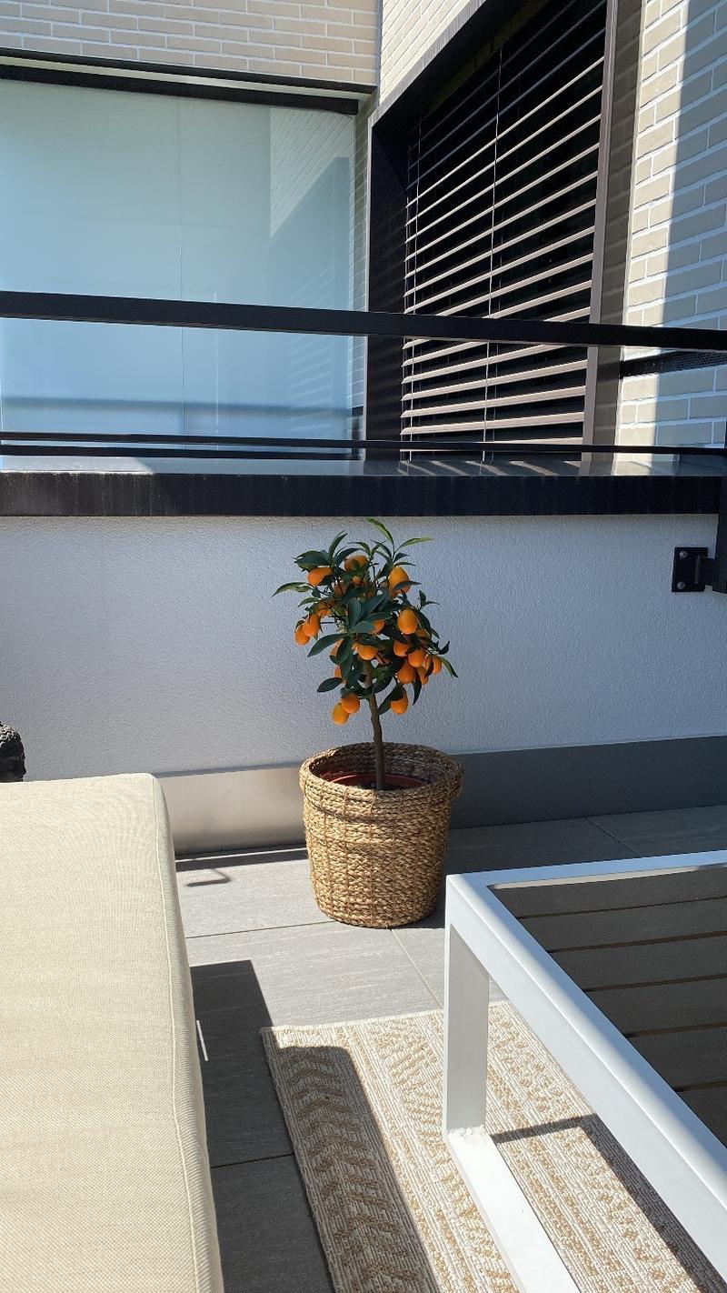 Entre la ville et la nature Appartement charmant en sous-location (4)