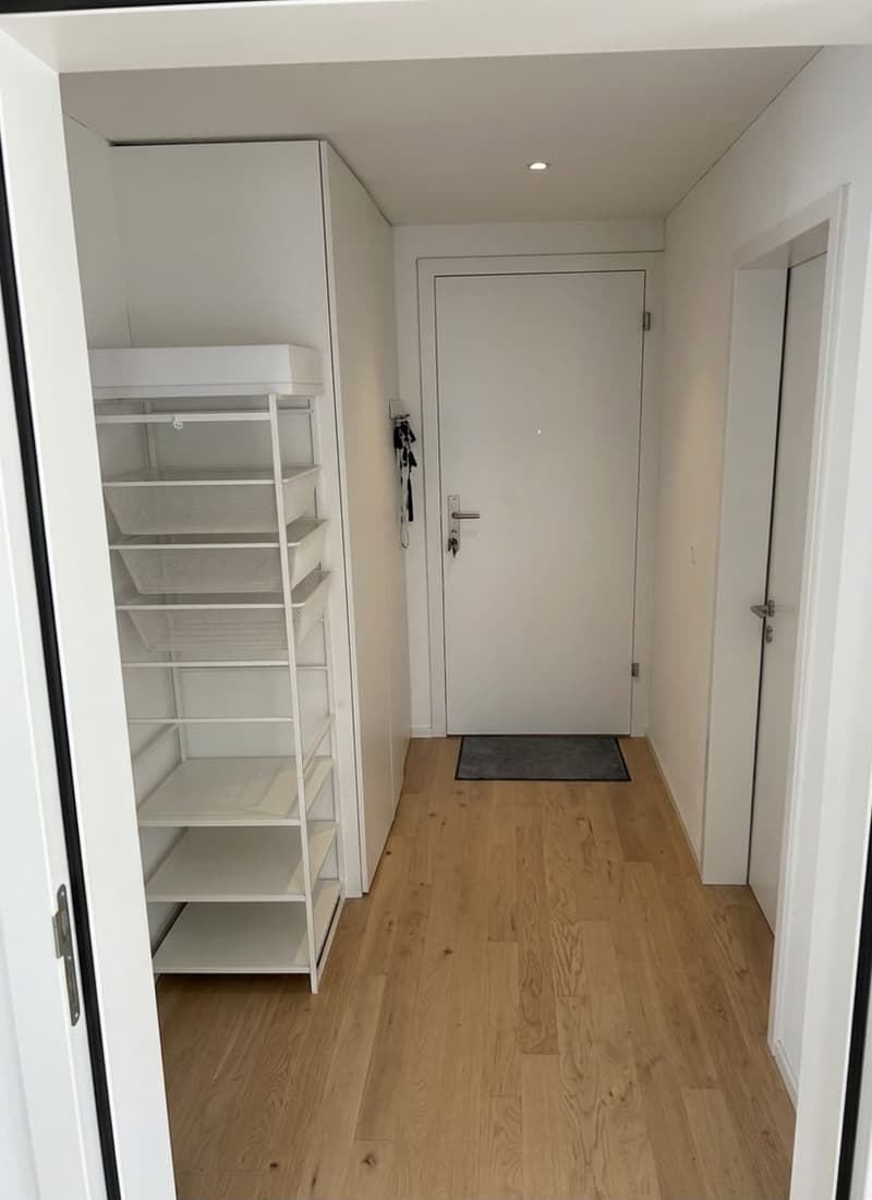 Rent a 3 ½ rooms apartment in Dübendorf/Hochbord (5 min from Stettbach station!) (8)