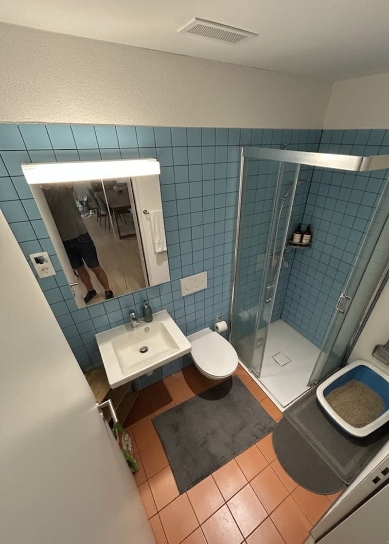 Rent a 3 ½ rooms apartment in Dübendorf/Hochbord (5 min from Stettbach station!) (6)