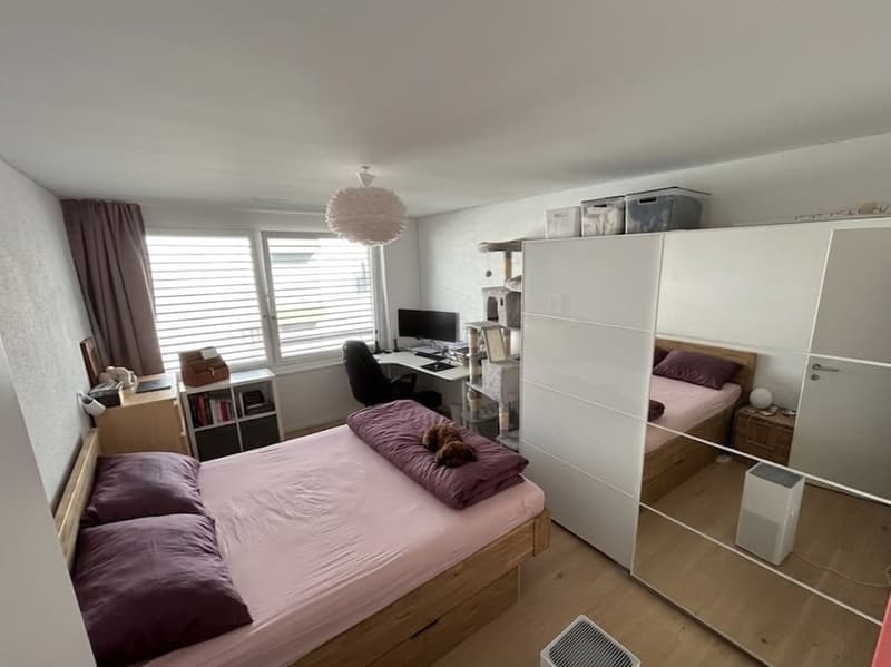 Rent a 3 ½ rooms apartment in Dübendorf/Hochbord (5 min from Stettbach station!) (5)
