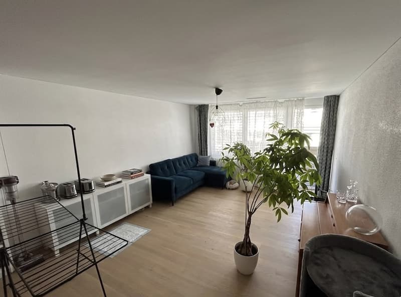 Rent a 3 ½ rooms apartment in Dübendorf/Hochbord (5 min from Stettbach station!) (4)