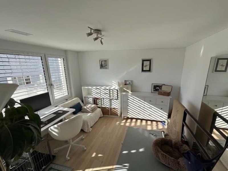 Rent a 3 ½ rooms apartment in Dübendorf/Hochbord (5 min from Stettbach station!) (3)