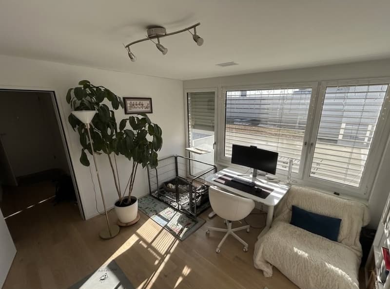 Rent a 3 ½ rooms apartment in Dübendorf/Hochbord (5 min from Stettbach station!) (9)