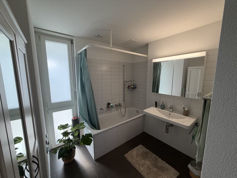 Charming 2.5-room apartment (6)