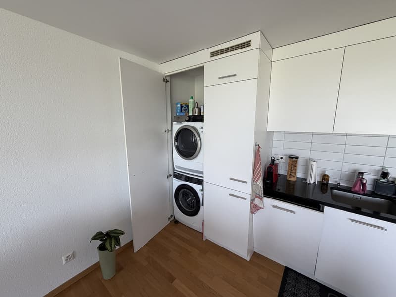 Charming 2.5-room apartment (5)