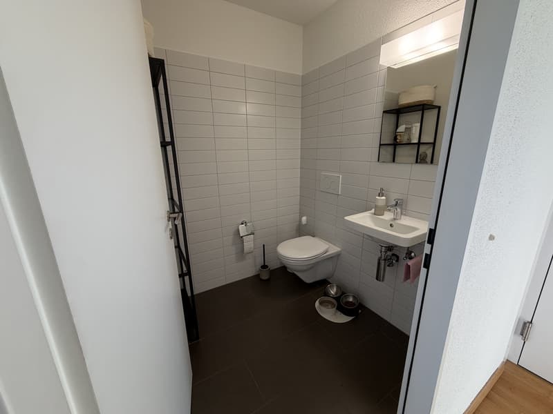 Charming 2.5-room apartment (7)