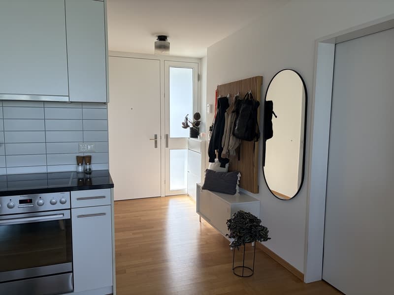 Charming 2.5-room apartment (3)