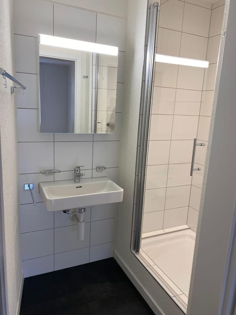3 Bedroom Apartment, 6010 Kriens (4)