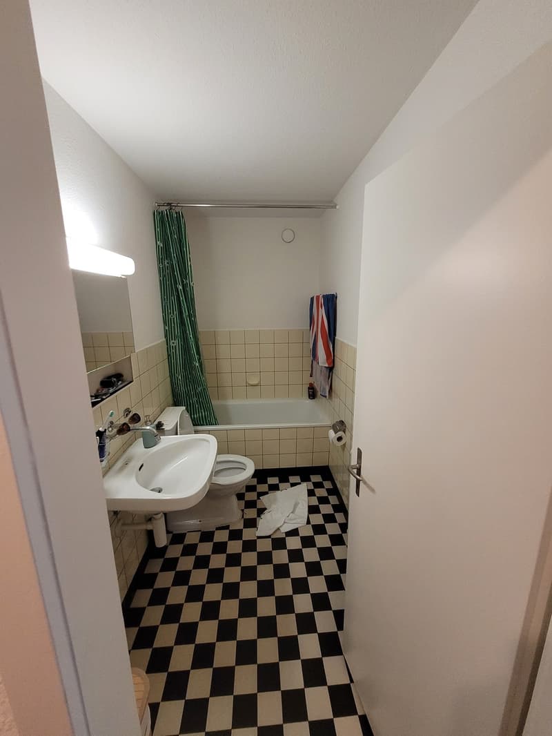 Gemütliche Wohnung ab Anfang Mai zu vermieten  Nachmieter/in gesucht (4)