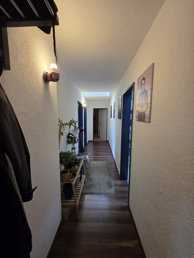 4.5-Zimmer-Attika-Dachwohnung mit Pilatusblick für nur CHF 1'810. inkl. NK (10)