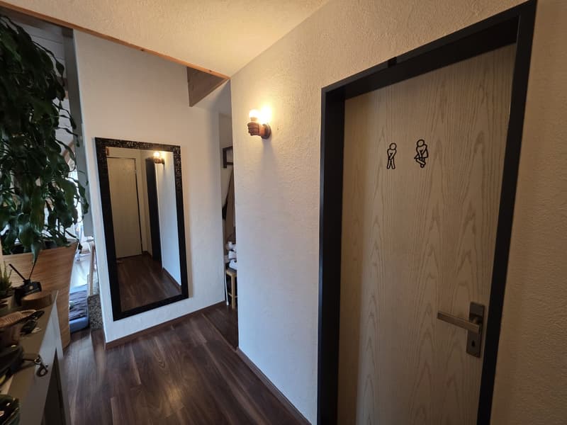 4.5-Zimmer-Attika-Dachwohnung mit Pilatusblick für nur CHF 1'810. inkl. NK (9)