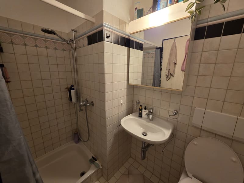 4.5-Zimmer-Attika-Dachwohnung mit Pilatusblick für nur CHF 1'810. inkl. NK (7)