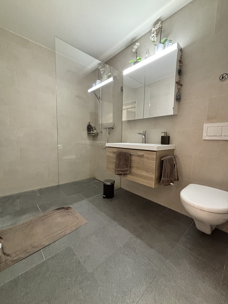 Bright 2.5-room apartment in Kloten (5)