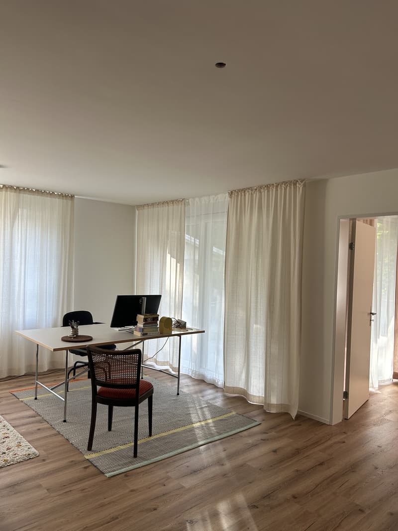 Modern 2-room new apartment (2)