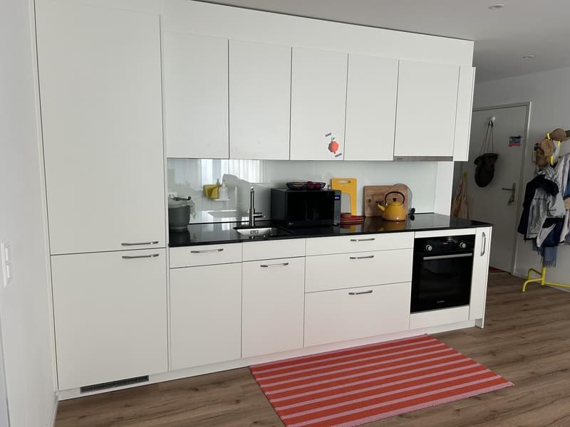 Modern 2-room new apartment (3)