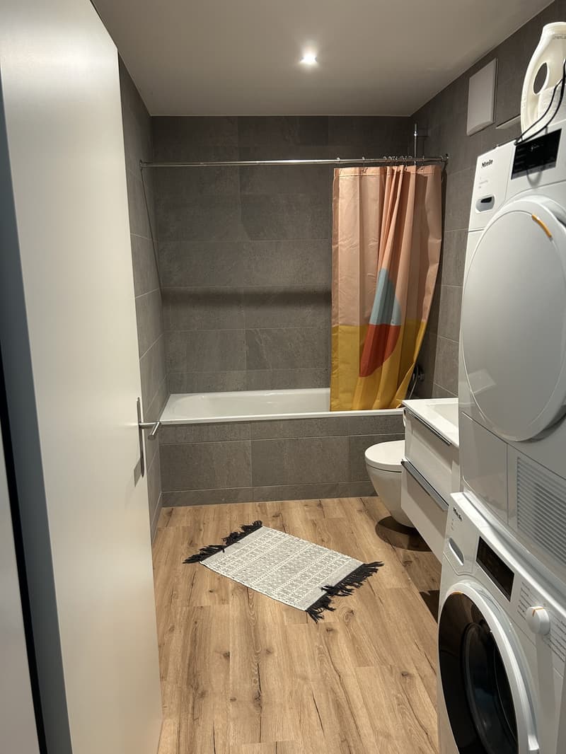 Modern 2-room new apartment (5)