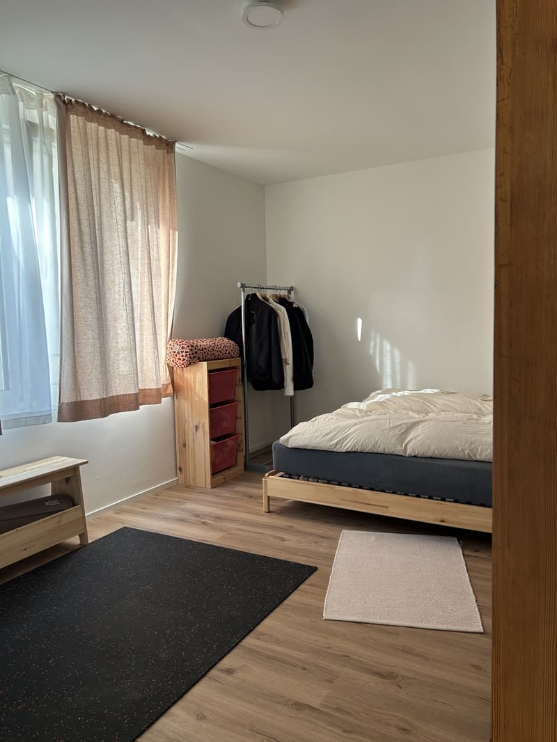 Modern 2-room new apartment (4)