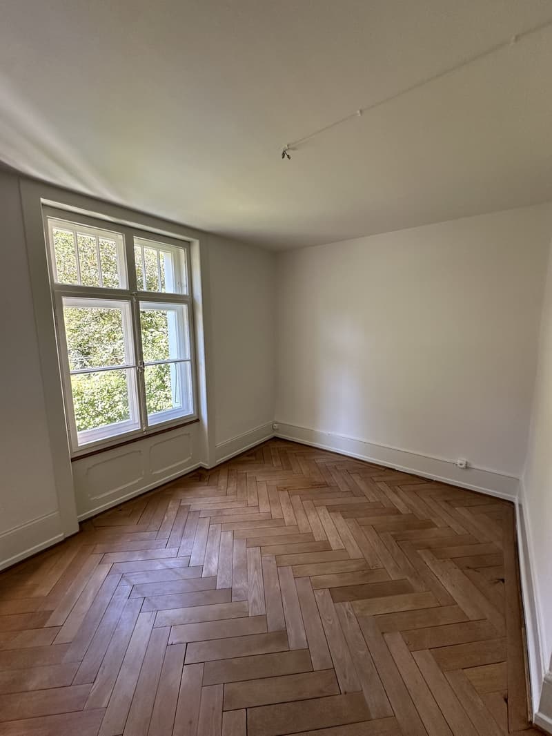 Incantevole appartamento di 4,5 locali in un edificio storico con pavimenti in parquet, balcone e parte di giardino privata (5)